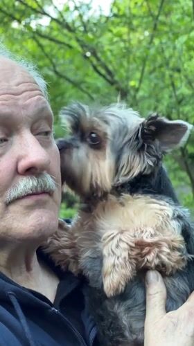 Elderly man enjoys picnic with Yorkshire Terrier in Trudovaya