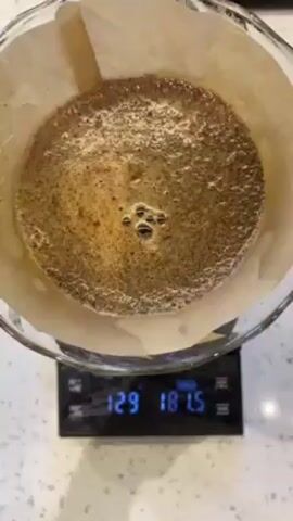 Here's a description of the video: 

The video shows a clear glass pour-over coffee maker on a digital scale. Inside the pour-over is a wet paper filter, full of coffee grounds blooming with hot water. The scale underneath shows a reading of approximately 131 grams, which likely represents the weight of the water and the coffee mixture.