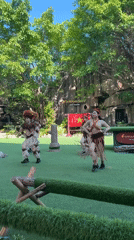 Tribal dance performance captured at VinWonders Nha Trang theme park