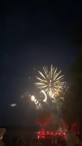 The video shows a fireworks display at night. The sky is dark, and the fireworks are bursting in bright colors. There are trees silhouetted against the sky, and a crowd of people watching the display. The fireworks are a mix of golden, yellow, and red. Some of the fireworks are large and exploding in a shower of sparks, while others are smaller and more delicate. There are also some red lights visible in the background, possibly from stage lighting. The overall scene is one of celebration and excitement.