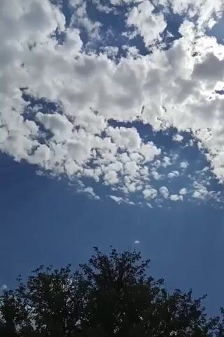 The video begins with a wide shot of a bright blue sky filled with fluffy white clouds. The clouds are scattered across the sky, with some appearing larger and more defined than others. The sun is visible behind some of the clouds, creating a slight glare. As the video progresses, the camera pans to the right, revealing the dark silhouette of a tree with green leaves. The branches of the tree extend upwards, reaching towards the sky. The leaves are dense, obscuring some of the clouds behind them. The camera continues to pan, showing more of the tree's branches and leaves, as well as glimpses of the sky and clouds in between. The overall impression is of a sunny day with a few clouds, seen from the perspective of looking up at the sky through the branches of a tree.