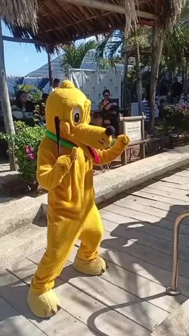 The video shows a sunny outdoor scene at what appears to be a resort or pool area. The main focus is a person dressed in a full-body Pluto costume dancing and moving. In the background, there are several people, some sitting under shaded areas, and some standing near a small jacuzzi-style pool. The surface is made of planks that are painted brown or tan. There are also tropical plants and palm trees visible, contributing to the resort atmosphere. The camera angle is slightly low and at one point pans around a little.