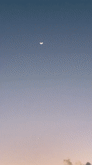 Crescent moon captured in Tel Aviv twilight sky