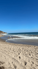 Sunny afternoon at a Malibu beach, people and wildlife