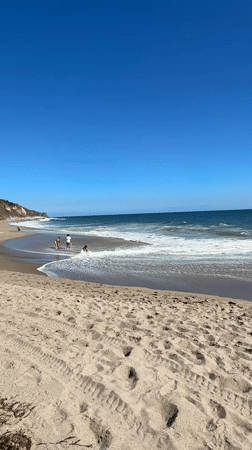 Sunny afternoon at a Malibu beach, people and wildlife