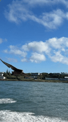 Boat tour captures coastal wildlife near Van Dyks Bay