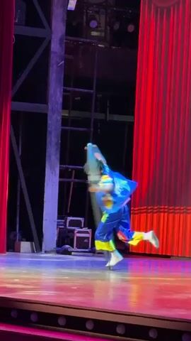 A person in a colorful, striped costume performs an acrobatic routine on a large metal hoop. The hoop is suspended in the air and the performer rotates within it, demonstrating flexibility and strength. The performance takes place on a stage with red curtains in the background. The lighting is dramatic, with spotlights illuminating the performer.