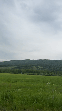 Rural landscape filmed under overcast skies near Tashtyp, Russia
