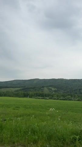 The video shows a panoramic view of a lush green field with a dense forest in the background. The sky is overcast with gray clouds. The camera is panning slowly from left to right, capturing the vast expanse of the landscape. There are no people or specific objects visible in the foreground or background, except for some trees and vegetation. The overall impression is one of natural beauty and tranquility.