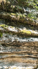Hiker documents forest trails across Khleborob and Sochi regions