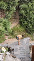 Man prepares platform jump in Dharamkot woods during morning