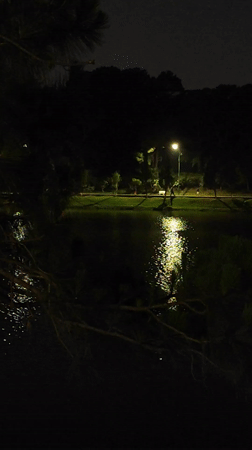 Da Lat residents enjoy lakeside evenings and flower gardens