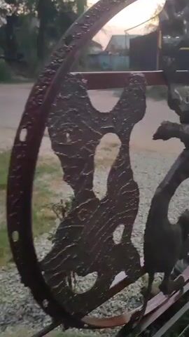 The video pans across a decorative metal fence at dusk. The fence features abstract, organic shapes and what appear to be stylized animal figures. In the background, a gravel driveway leads away from the fence, and a house with a dark roof is visible. Trees and sky are also part of the backdrop. The lighting suggests either sunrise or sunset.