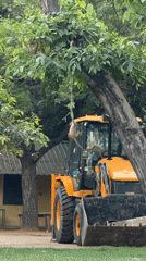 Delhi wildlife activity documented across parks and urban spaces