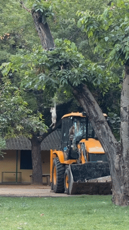 Delhi wildlife activity documented across parks and urban spaces