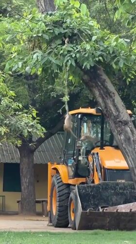 Delhi wildlife activity documented across parks and urban spaces