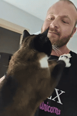 Man takes selfies, plays with cat in Novyi Russia
