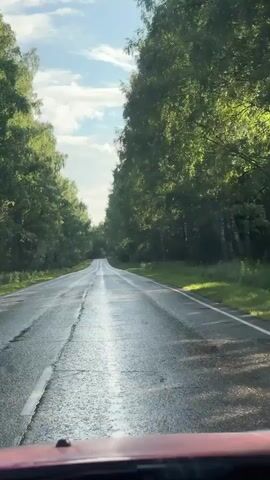 The video shows a first-person perspective of driving on a paved road. The road is wet and appears to have some cracks and potholes. On either side of the road, there are numerous trees, mostly deciduous with green leaves. The sky above is partly cloudy with patches of blue sky visible. The sun is shining, casting reflections on the wet road. The video is short and appears to be captured while moving, suggesting the vehicle is in motion.