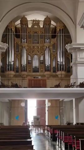 The video shows the interior of a church with a pipe organ at the far end of the nave. The organ is large and ornate, with many pipes of varying sizes. In the foreground, there are rows of empty pews. In the middle ground, there is an open doorway leading to the outside, with a few people visible through it. Two blue bird decals are visible on a glass partition. The lighting is dim, with bright light coming from the doorway. The camera is stationary, and the video is silent.