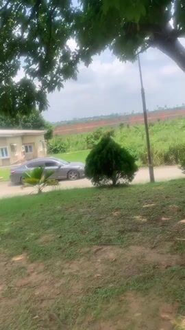 A still, outdoor, eye-level shot captures a gray car parked on a paved road beside a beige building with white windows, and an AC unit hanging off the side. A small green shrub is in front of the car, with a street light and a smaller shrub further down the road, all against a backdrop of a distant wall and green fields under a cloudy sky. The foreground has green grass and dirt, with branches from an overhead tree framing the top left.