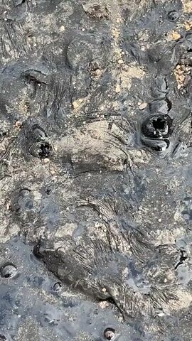 The media file shows a close-up of a dark, viscous substance, possibly mud or oil, mixed with sand and small pebbles. The substance has a textured, almost organic appearance, with raised areas and depressions. Some parts of the surface are glossy and reflective, suggesting moisture or the liquid nature of the material. Small, dark bubbles are visible on the surface in several places, indicating possible gas release or agitation. The overall scene is a natural, uncultivated environment, with hints of dry earth and sparse vegetation in the background, particularly visible as the view pulls back. The lighting suggests it is daytime, possibly under overcast conditions or in an area with diffused light, as there are no harsh shadows. The texture and appearance of the substance might evoke a sense of a natural phenomenon, like a mud pot or an oil seep, or potentially a man-made situation like a spill. No people or specific man-made objects are prominently featured, with the focus being on the substance itself and its immediate surroundings. The granular texture of the sand and pebbles, along with the organic forms of the dark material, contribute to a rough and earthy aesthetic.