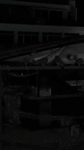 The video shows several pigeons perched on a dark metal structure, possibly a railing or part of a shed, at night. The scene is very dark, with only faint light emanating from windows of a building in the background. The pigeons are mostly still, appearing to be resting. One pigeon makes a soft cooing sound during the video. The ground below the structure is also dark and appears to have some debris. No people or visible text are present.