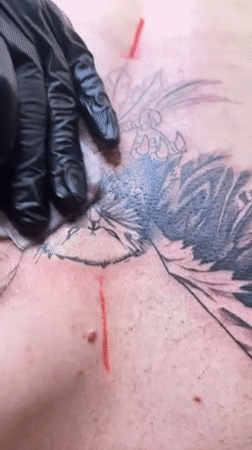 Tattoo artist creates large bird design on client's back