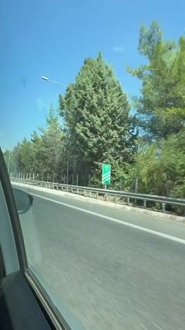 The video shows a view from inside a car, looking out the passenger-side window as the car travels along a highway. The road is paved and has white lane markings. On the right side of the road, there is a metal guardrail and a row of trees. Some of the trees are tall and thin, while others are shorter and bushier. The sky is clear and blue. The sunlight is bright, suggesting it is daytime. The car appears to be moving at a moderate speed, as indicated by the motion blur of the trees and the road. There are no other vehicles visible in the frame. The overall impression is of a scenic drive through a rural or suburban area on a sunny day.