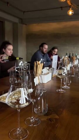 A woman is pouring wine into glasses at a long, wooden table with wine glasses, bottles of wine, breadsticks, and menus. Three people are sitting at the table; one person is looking at the menu, another is looking forward, and the third is blurred behind the person pouring wine. The lighting is dim. The ceiling is concrete-like with a light fixture made to resemble branches with round bulbs on the tips.
