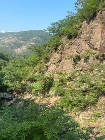 The video begins by showing a rocky cliff face covered in vegetation. The camera then pans to reveal a suspension bridge made of wood and metal, spanning across a wooded ravine. The bridge has sturdy railings and appears to be a well-maintained pathway. Lush green trees and foliage surround the bridge, and a small waterfall can be seen cascading down a rocky incline in the background. The sky is clear and blue, indicating a sunny day. The video ends with a shot of the bridge stretching into the distance, inviting exploration of the natural scenery.