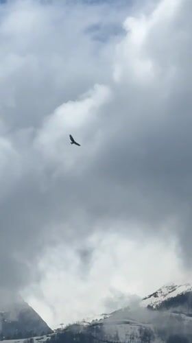 Aircraft spotted over cloudy Krasnaya Polyana mountains