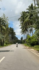 Scooter rider travels palm-lined road in Del Carmen, Philippines