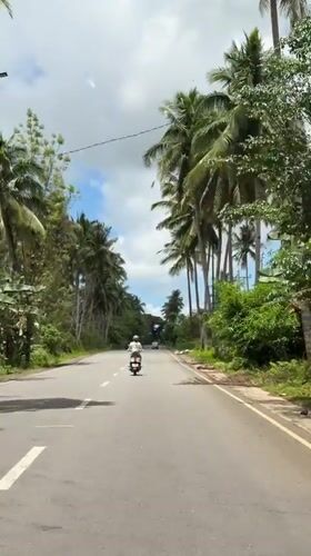 Scooter rider travels palm-lined road in Del Carmen, Philippines