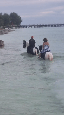 Horseback riders traverse shallow waters near Tanzanian pier