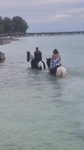 Horseback riders traverse shallow waters near Tanzanian pier