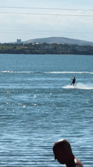 Watersports and a dog on a summer afternoon in Burgas