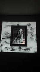 Art Installation Combines Framed Pictures with Dynamic Projections in Russia