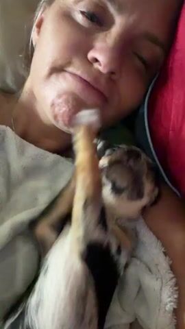 A woman lies in bed with a small dog on her chest. The dog is a merle-colored chihuahua with brown and white patches and blue eyes. The dog is moving its paws in a blurred motion and appears to be nipping or pawing at the woman's chin and neck. The woman's eyes are open and she has a neutral expression. The environment is dim, suggesting it is nighttime or a dark room. A red pillow is visible behind the woman's head, and a white blanket is draped over her chest and the dog.