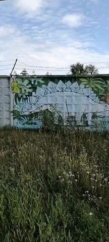 The video shows a section of a concrete wall covered in graffiti. The graffiti depicts a stegosaurus dinosaur surrounded by large green leaves and palm fronds. To the right of the dinosaur, there is text in large, stylized letters, which appears to read "СВЕРХ АРТ ФЕСТ". The wall is topped with barbed wire, and in the foreground, tall, dry grass with small white flowers is visible. A large evergreen tree is seen behind the wall to the right, and some other trees and sky are visible further in the distance. The camera pans slowly from left to right, revealing more of the graffiti.