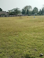 Agility training session with cones observed in Kedawung field