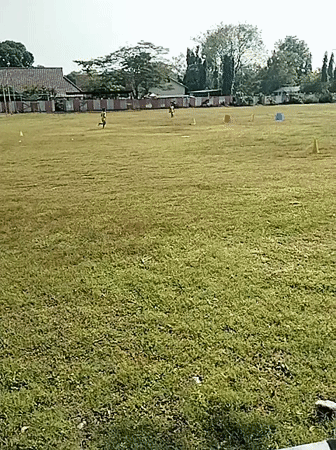 Agility training session with cones observed in Kedawung field