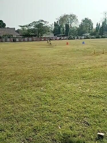 Agility training session with cones observed in Kedawung field