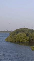 Two men wade into choppy waters near Porlamar