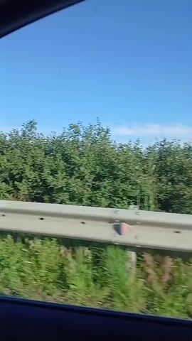 The video shows a view from a car window looking out at a rural landscape. A concrete barrier runs along the bottom of the frame, with green vegetation growing on either side of it. Beyond the barrier, there are fields of golden crops, possibly wheat or barley, stretching towards the horizon. The sky is a clear, bright blue with a few wispy clouds. There is a single utility pole visible in the distance. The camera is moving, indicated by the slight blur of the vegetation closest to the window and the shifting perspective of the landscape. The lighting suggests it is daytime, likely a sunny afternoon.
