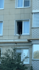 Person holds cat from second-story window in Cheboksary