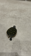 Small turtle spotted on tiled floor in Sofia