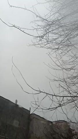 The video shows a bare tree in the foreground, its branches stark against an overcast sky.  Behind the tree, parts of a building are visible. There appears to be rain or snow falling.  The scene is still and lacks any human presence or interaction.