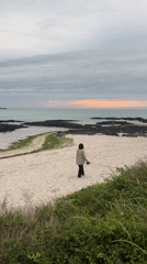 Beach day and campsite setup along Jeju's volcanic coastline