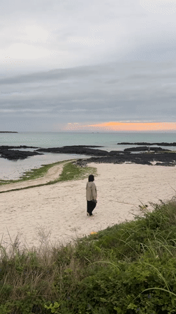 Beach day and campsite setup along Jeju's volcanic coastline