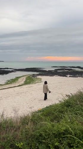 Beach day and campsite setup along Jeju's volcanic coastline